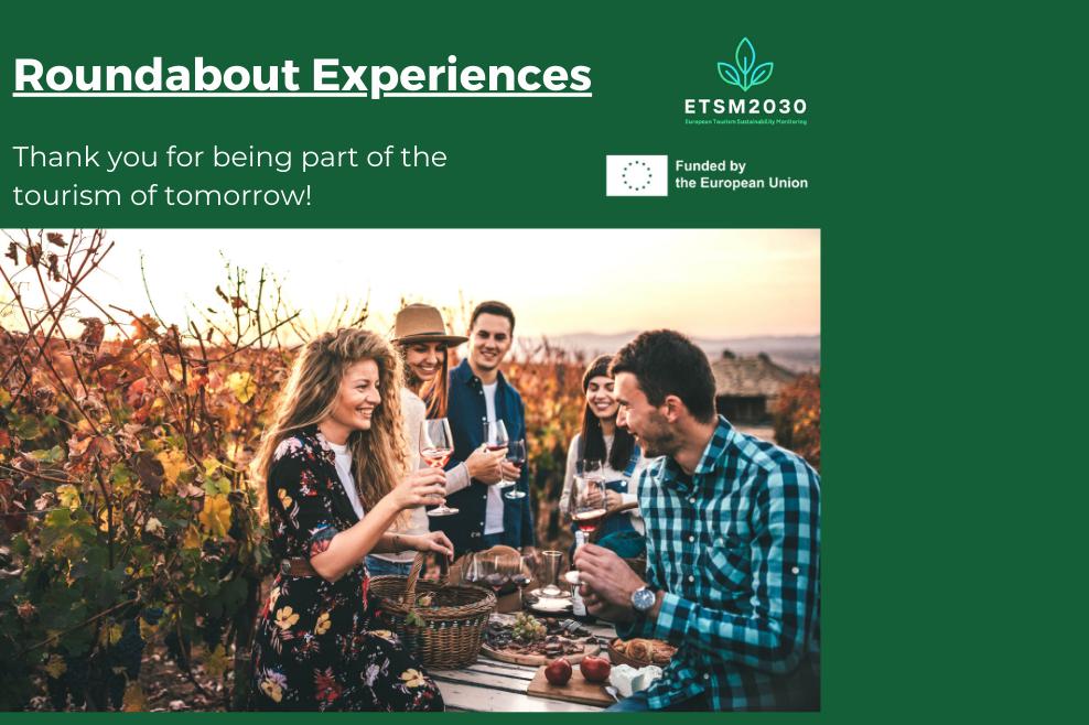 Our participants: Roundabout Experiences